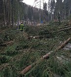 Nach Orkan Friederike - Uslarer Strasse (3)